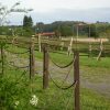 Отель Rural La Llosa de Fombona, фото 17