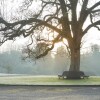 Отель Accessible Apartment in the Grade II Listed Netherby Hall, фото 27