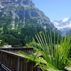 Отель Alpenblick, фото 14