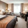Отель Comfort Inn Seekonk-Providence, фото 8