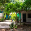 Отель Matapalo Surf School & Beach Cabin, фото 6