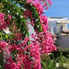 Отель Aktur Residence, фото 24