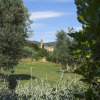 Отель Agriturismo Castello di Bolgheri, фото 8