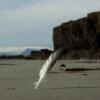 Отель Rauðsdalur, фото 23