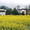 Отель Wuyuan waiting for your homestay, фото 5