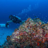 Отель Faima Fishing Lodge at Daravandhoo, фото 5