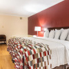 Отель Red Roof Inn Ashtabula - Austinburg, фото 6