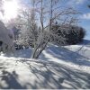 Отель Hôtel Notre Dame Des Neiges, фото 25