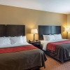 Отель Comfort Inn & Suites Monahans I-20, фото 7