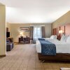 Отель Comfort Suites Buda Austin South, фото 23