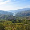 Отель Quinta dos Padrinhos - Suites in the Heart of the Douro, фото 20