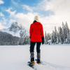 Отель Emerald Lake Lodge, фото 28