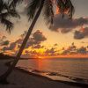 Отель Curry House Bed & Breakfast Holiday Home 9, фото 22