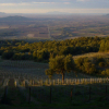 Отель Valdonica Winery & Vineyard Residence, фото 12