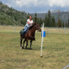 Отель Elk River Guest Ranch, фото 11