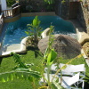 Отель Apartment With 2 Bedrooms in Conil de la Frontera, With Shared Pool, Furnished Terrace and Wifi, фото 36