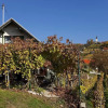 Отель Vineyard cottage Verček, фото 6