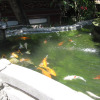 Отель Lestari Homestay, фото 13