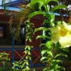 Отель Posada del Mar, фото 19