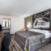 Отель Super 8 by Wyndham Pigeon Forge Dollywood Lane, фото 3