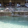 Отель The Springbok Lodge, фото 6
