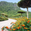 Отель Thung Nham Hotel & Resort, фото 14