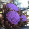 Отель Agriturismo Santa Lorica, фото 9