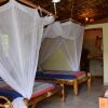 Отель Meru View Lodge, фото 5