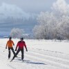 Отель Holiday Home in Mittersill Near ski Area, фото 28