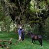 Отель El Refugio de Intag Cloud Forest Lodge, фото 8