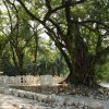 Отель Nututun Palenque, фото 23