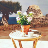 Отель Verdeoliva Bed & Breakfast, фото 12