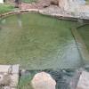 Отель Aguas Termales San Martín, фото 6