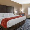 Отель Quality Inn & Suites, фото 47