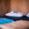 Отель Desert Shade Eco-Camp, фото 21