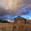 Отель Bryce Trails Bed and Breakfast, фото 27