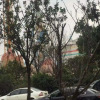 Отель Pod Inn Ningbo Luomeng Universal Paradise Yintai City, фото 15