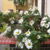 Отель B&B Ganna, фото 14