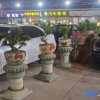 Отель Junhao Hotel Shishi, фото 3