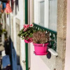 Отель Old City Guest House, фото 1