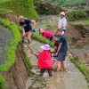 Отель Zizi Homestay and Trekking - Hostel, фото 9