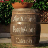 Отель Bio Agriturismo Poggio Aione, фото 21