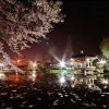 Отель Gyeungju Gumobon Hanok Pension, фото 32