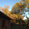 Отель Damascus Bush Lodge, фото 1