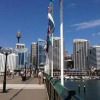Отель Walk to the city, Fish Market, Darling Harbour, фото 8