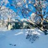 Отель Feathertop Alpine Lodge, фото 26