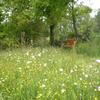 Отель Les Petites Cerises - Family Gite in Charente France, фото 13