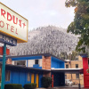 Отель Stardust Motel Wallace, фото 18