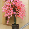 Отель Starway Hotel Yingshang North Station, фото 14