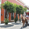 Отель Home and Hostel, фото 15